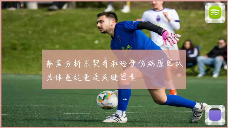 弗莱分析东契奇和哈登伤病原因认为体重过重是关键因素